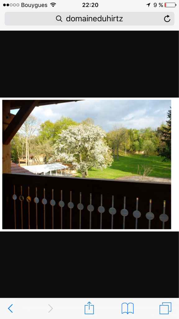 Mon lieu de réception: mariage en alsace en plein cœur de la nature - 9