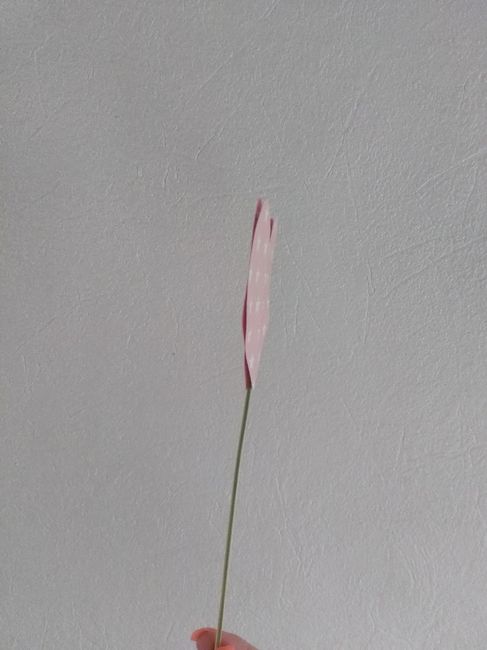 C'est parti !!!! - 2