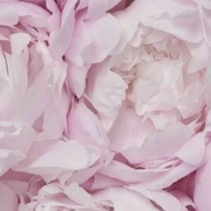 Laquelle de ces salles de réception pour ton mariage ? - 1