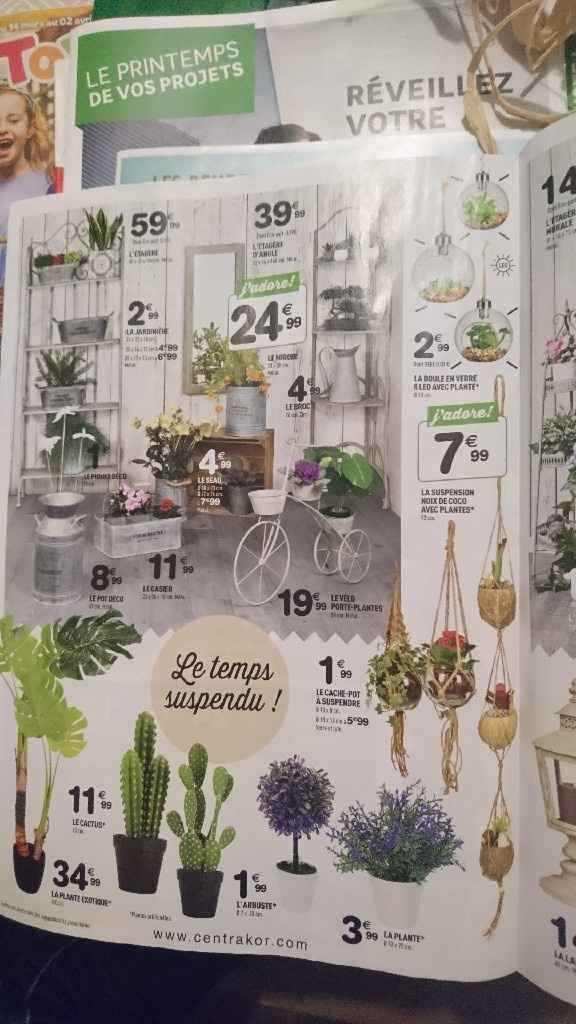 Inspirations ampoules - 1