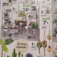 Inspirations ampoules - 1