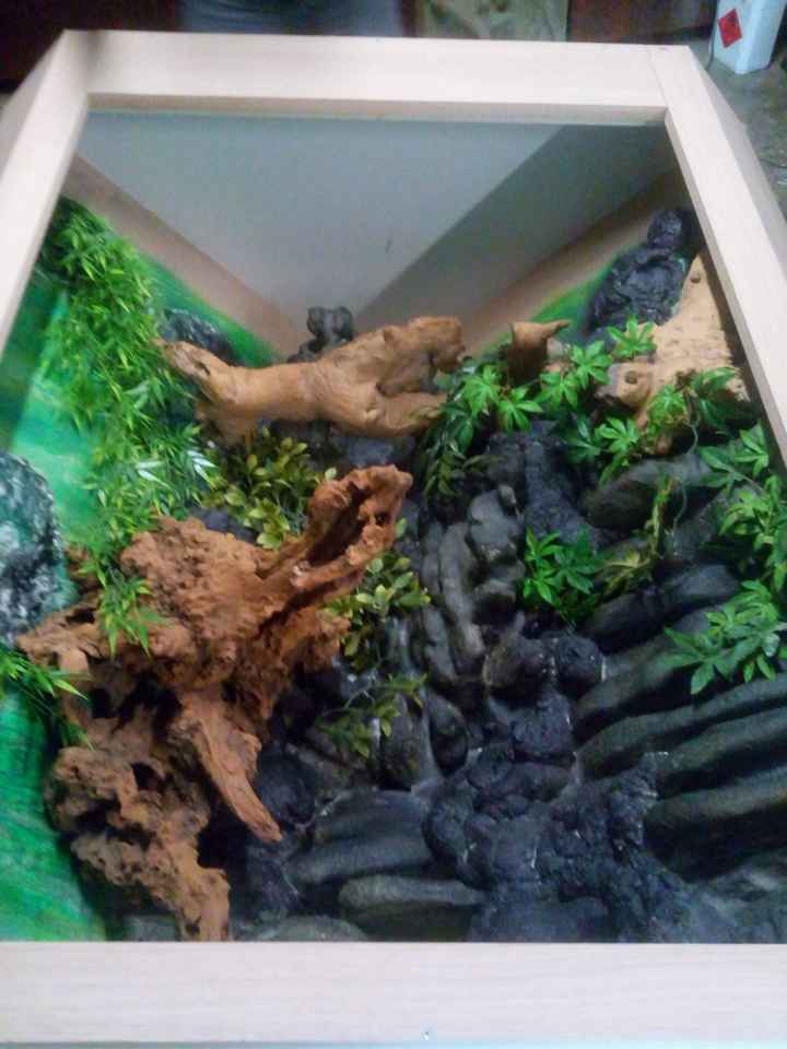 Terrarium - Inspi n°2 - 1