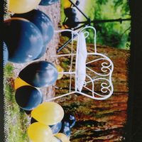 Qu est ce qu elle a contre les ballons - 2