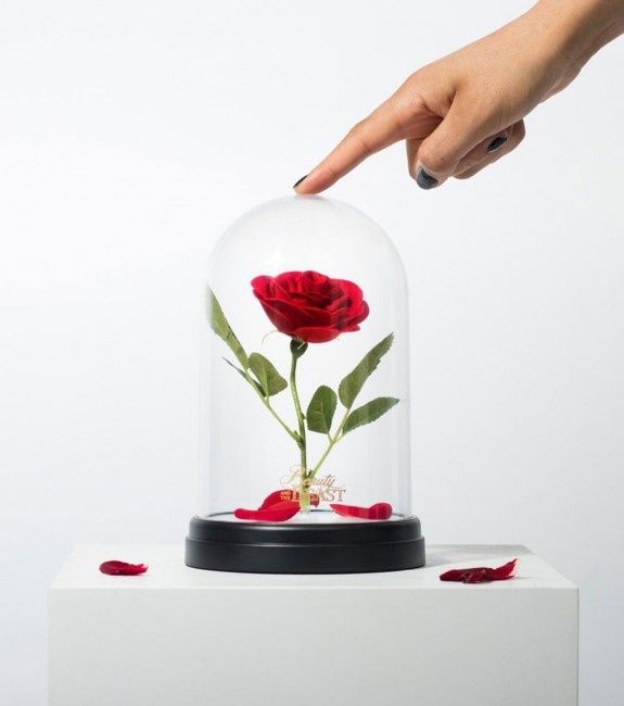 Lampe 