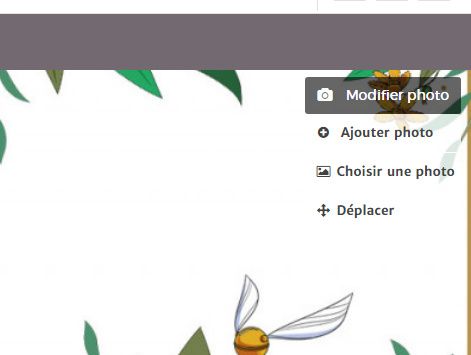 modifier photo