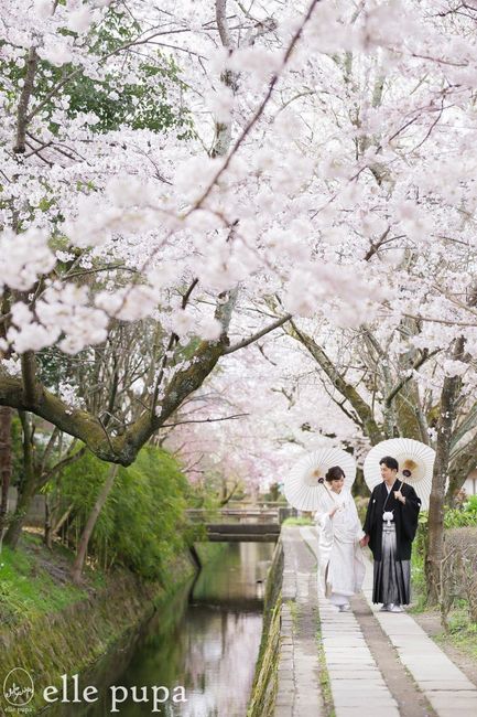 Les japonais aiment se marier durant le hanami (floraison des sakura) car les photos sont sublimes. 