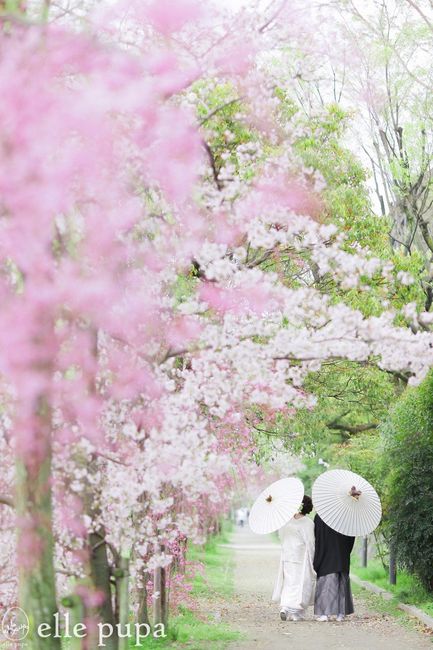 Il faut savoir que les photos sont très importantes pour les japonais. Il faut qu'elles soient absol