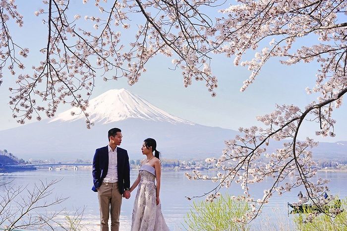avec le mont Fuji et les Sakura ! of course
