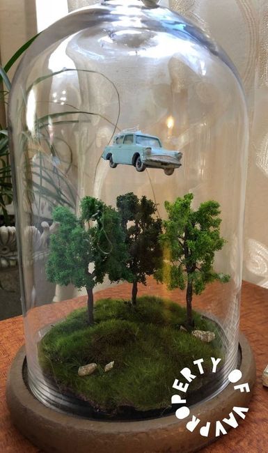 Mariage geek - Terrarium 5