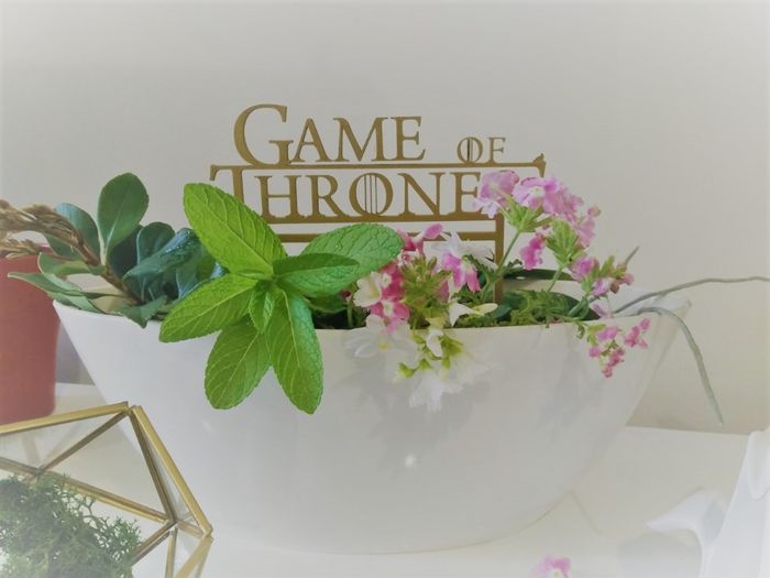 Game of thrones