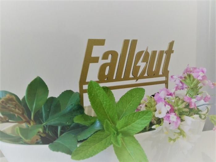 Fallout