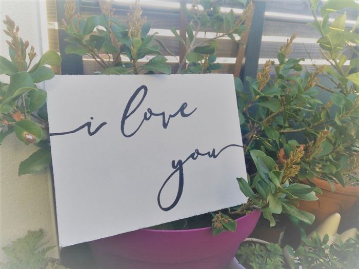 I love you