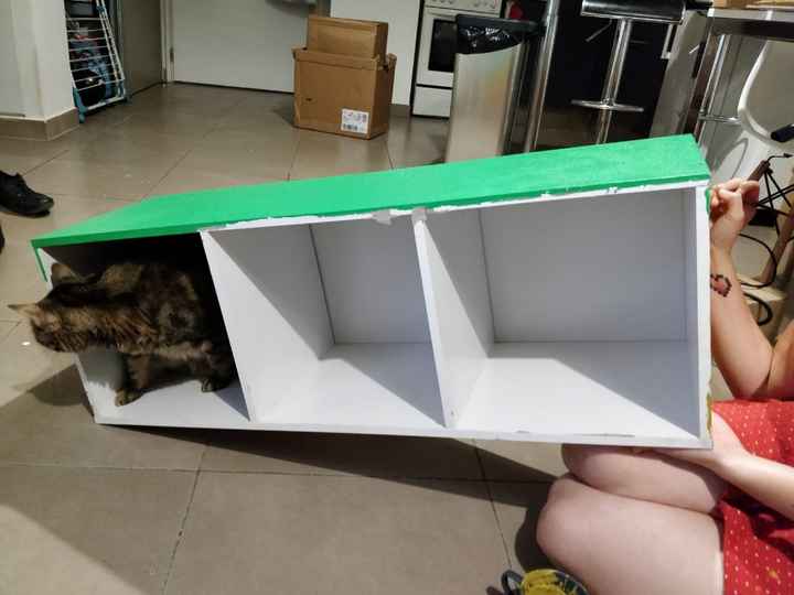 Un gros chat 