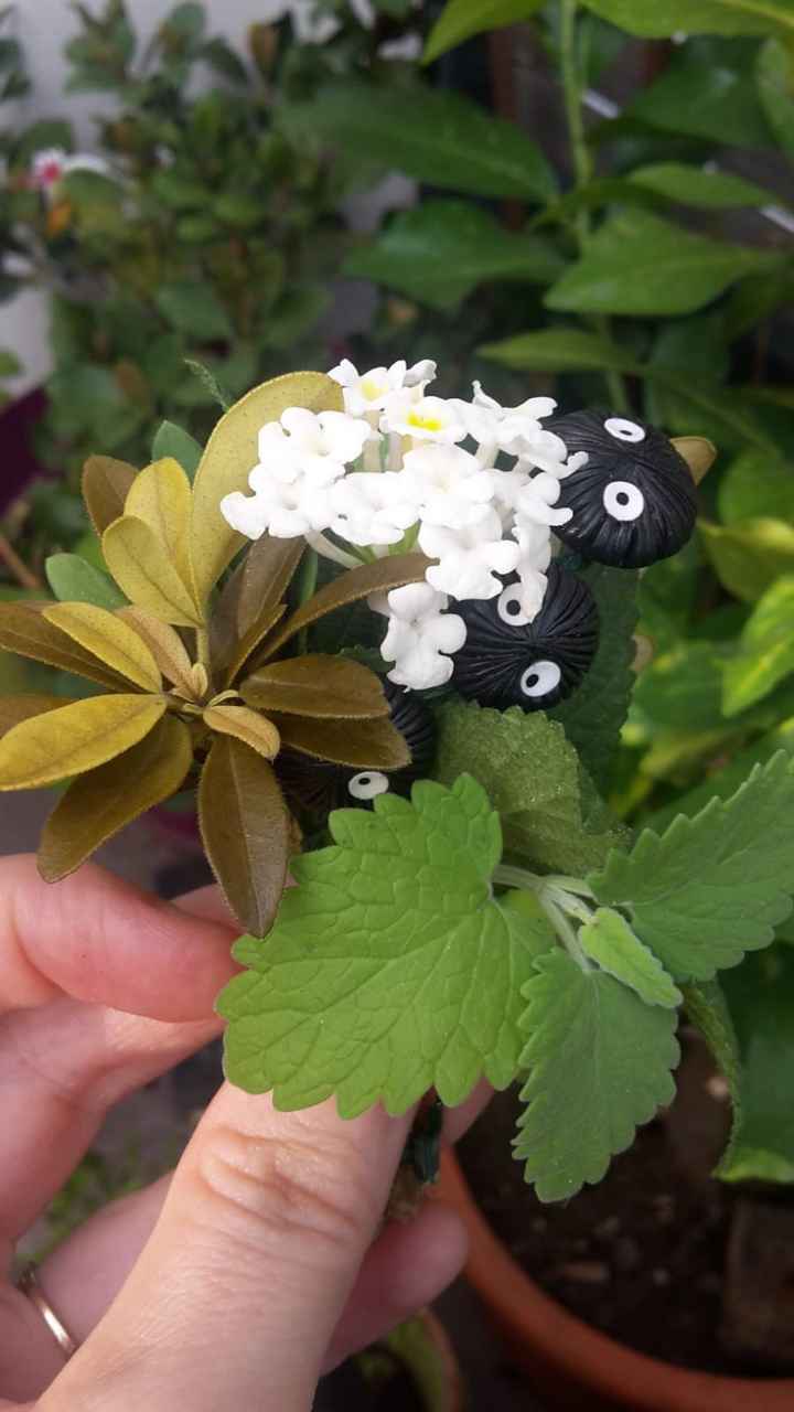 Ho les petites ...... comme elles sont mignonnes