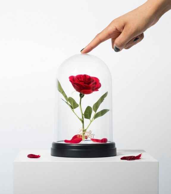 Lampe 