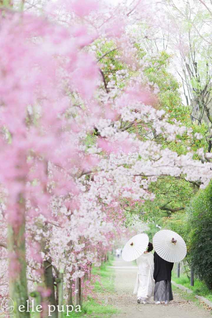 Il faut savoir que les photos sont très importantes pour les japonais. Il faut qu'elles soient absol