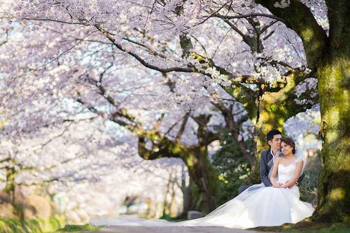 Des robes de mariée comme les notres