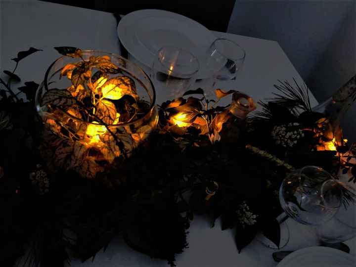 lumiere 
