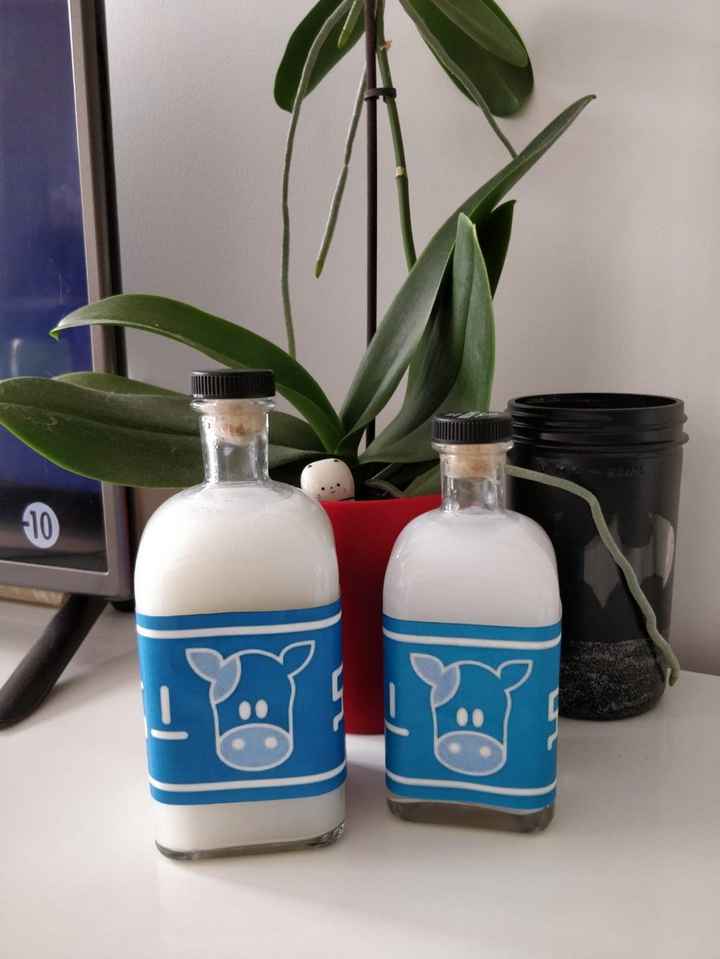 Bouteille de lait zelda