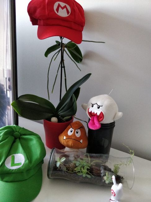 Des objets Mario à gagner dans un concours facebook? Aller pourquoi pas !