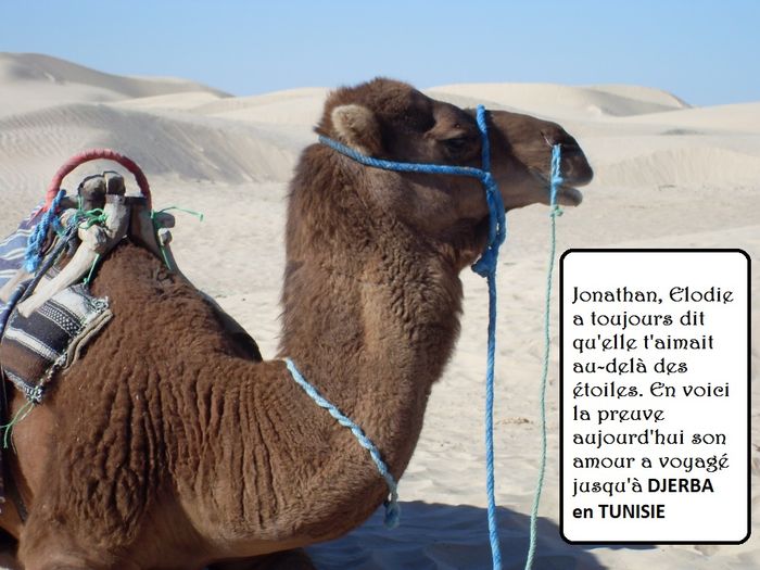 Relance love note 12