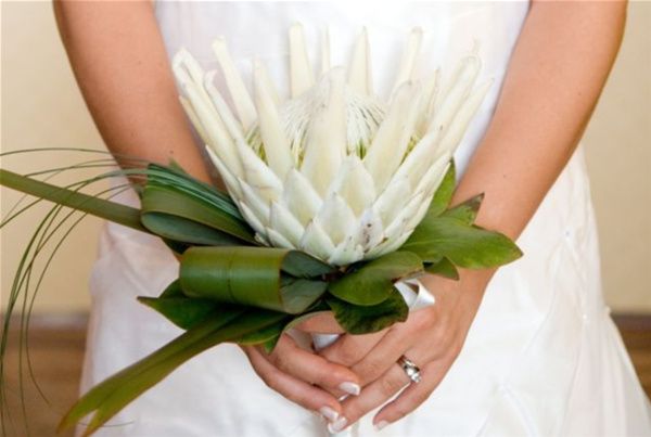 Q/q : bouquet 2