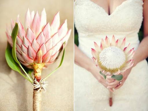 Q/q : bouquet 4
