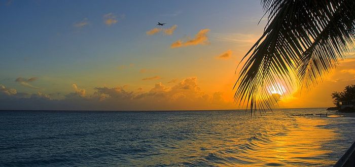 F9 : The One In Barbados 6