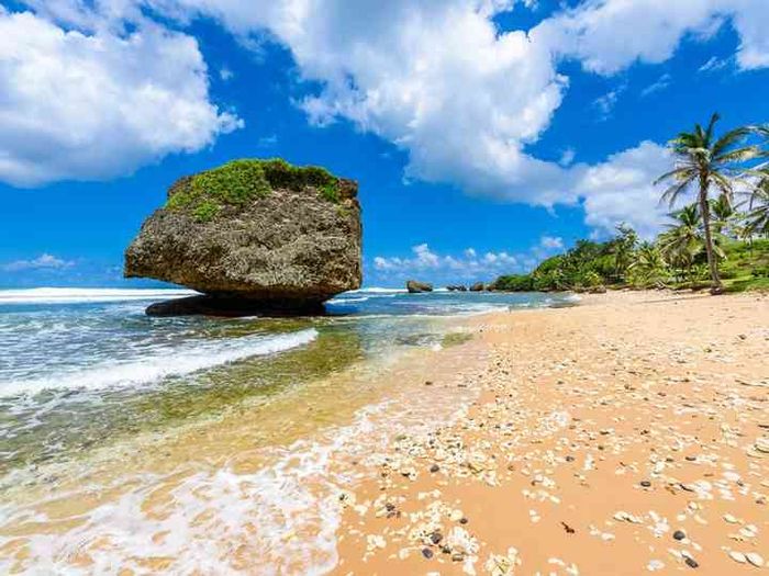 F9 : The One In Barbados 4