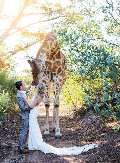 Un mariage pas comme les autres... une photo originale. 2