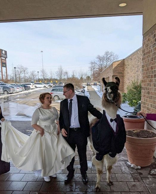 Un mariage pas comme les autres... un invité qui ne veut pas perdre un paris. 1