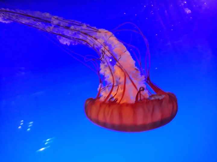 Faites moi rêver : Voyage de noce - 10