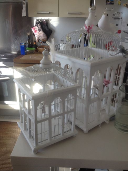 Urne Cage oiseaux