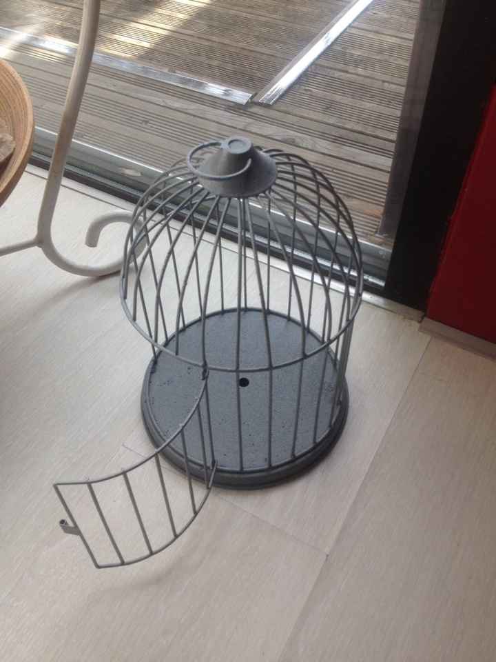 Fleur en pot ou fleur coupée ? - 1