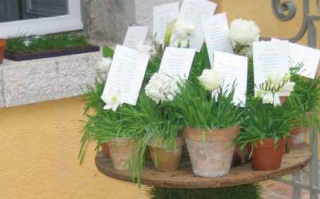 Plan de table jardin