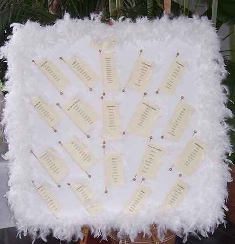 Plan de table Plumes