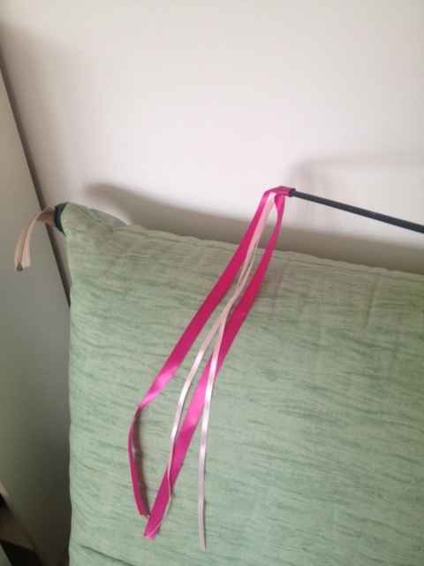 Nos wedding wands