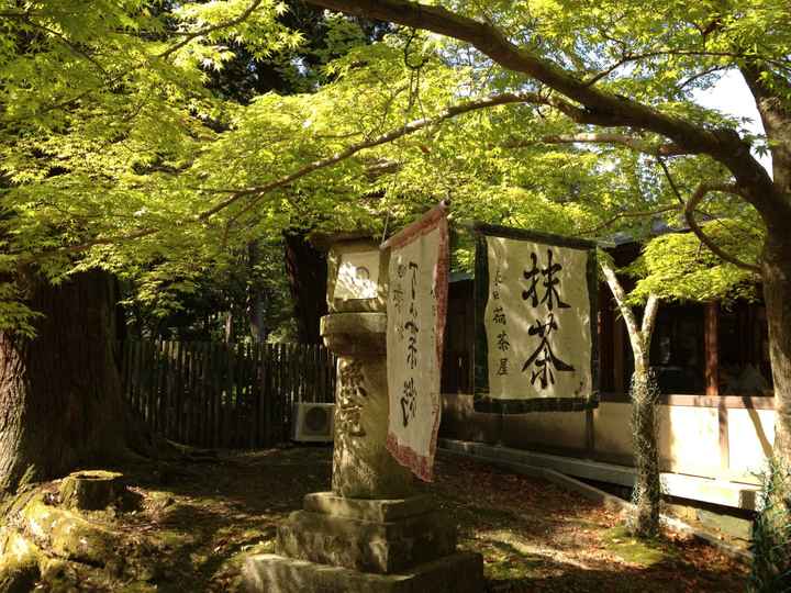 Lune de miel au Japon ou en Californie en juillet ou août - 3