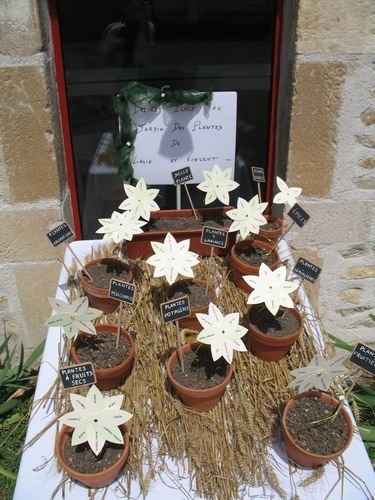 déco de table nature