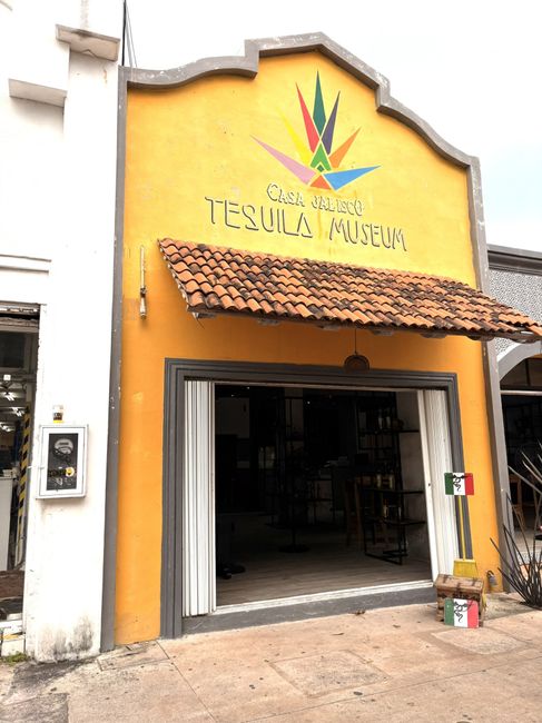 Voyage de noces 🏝️ 5