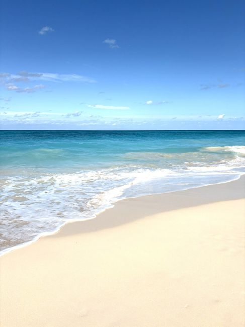 Voyage de noces 🏝️ 6