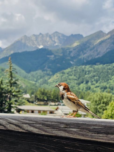 Evg : un weekend hors du temps ! 3