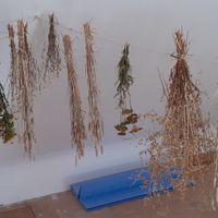 J-7 et ça avance !! 😀 - 1