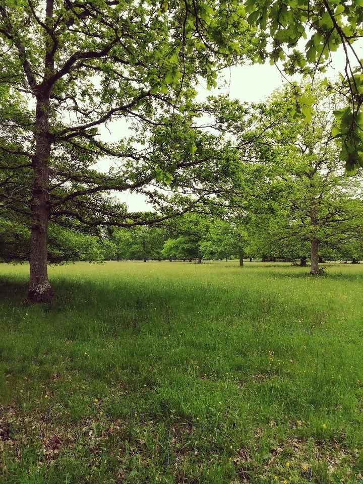Enfin on a notre lieu pour la cérémonie laïque ! - 1