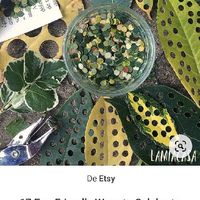 Décorations viking  valider - 1