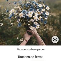 Décorations viking  valider - 2