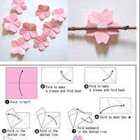 Fleurs de cerisiers - 1