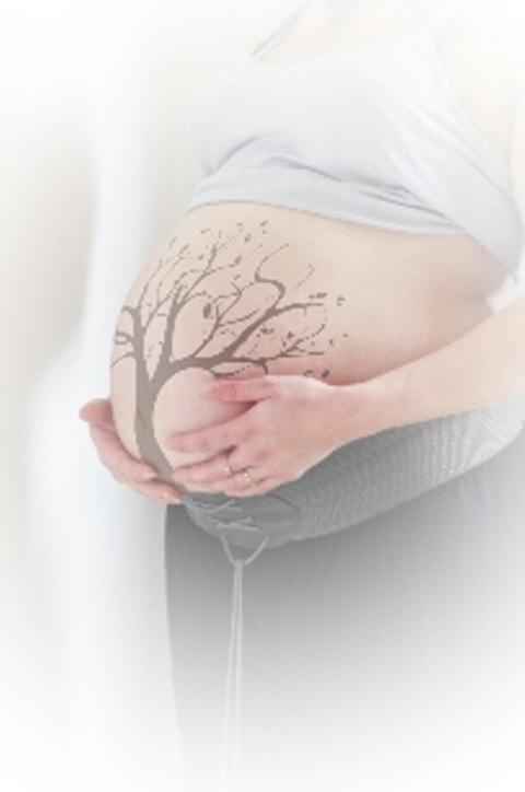 Photo de votre ventre pendant la grossesse - 1