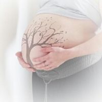 Photo de votre ventre pendant la grossesse - 1