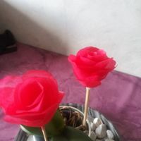 Discussion diy (do it yourself) - 1